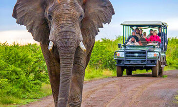 GÜNEY AFRİKA | 7 GECE | İSTANBUL ÇIKIŞ | THY