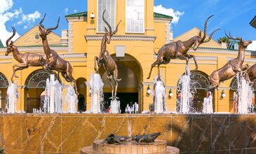 GÜNEY AFRİKA | 7 GECE | İSTANBUL ÇIKIŞ | THY