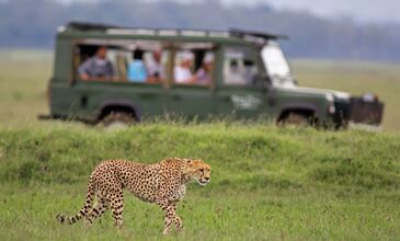 GÜNEY AFRİKA | 7 GECE | İSTANBUL ÇIKIŞ | THY