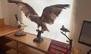 DOMATİA RUM KÖYÜ & KARİNA & ŞİRİNCE TURU 