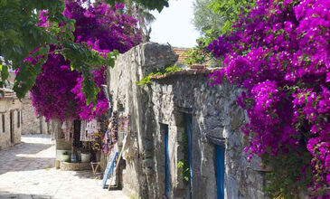DATÇA BADEM ÇİÇEĞİ FESTİVALİ TURU