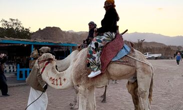 İZMİR ÇIKIŞLI SÖMESTİR ÖZEL 3 GECE SHARM EL SHEİKH TURU